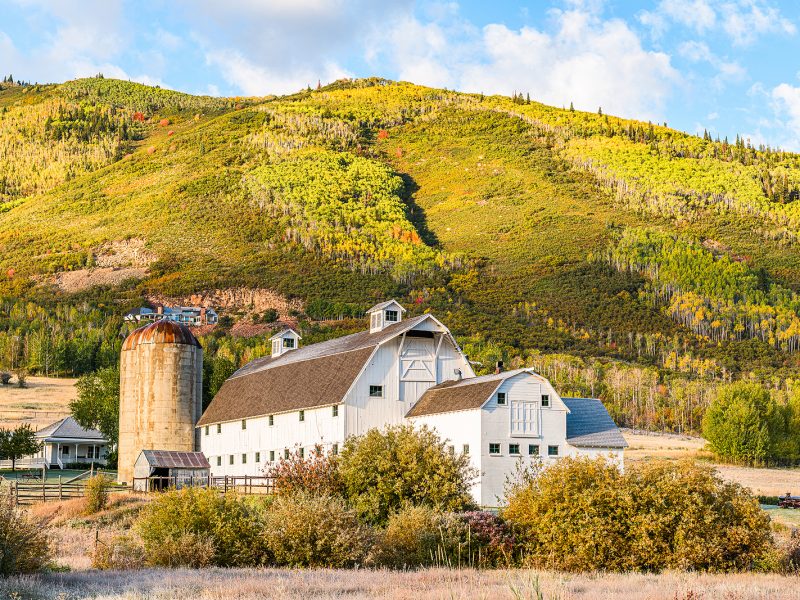 Warm-weather activities in Park City don’t get the attention they deserve. That’s why the Germania Construction team is shining a light on some of our favorite Park City trails and coffee shops that are perfect for your summer adventures.