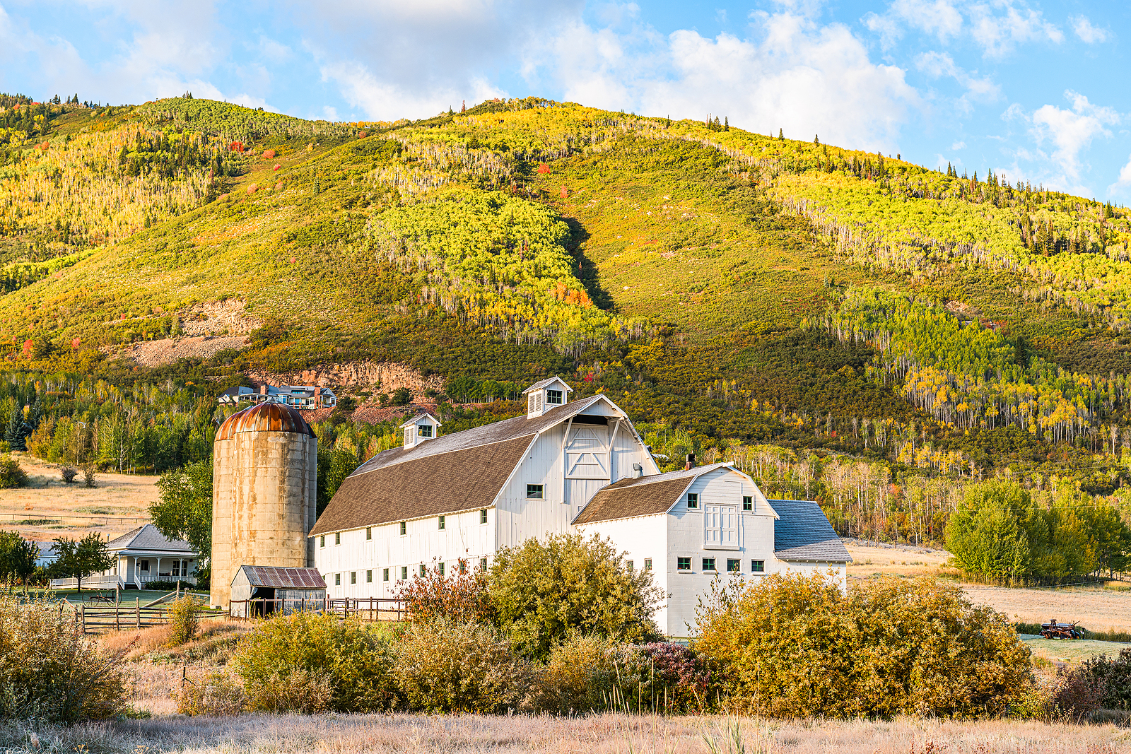 Warm-weather activities in Park City don’t get the attention they deserve. That’s why the Germania Construction team is shining a light on some of our favorite Park City trails and coffee shops that are perfect for your summer adventures.
